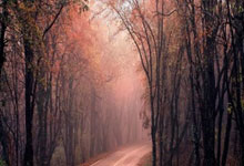 世預賽歐洲區第10輪西班牙1-0瑞典 莫拉塔替補絕殺打進制勝球.