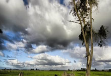 bevictor:NBA/穆雷关键拉竿上篮逼进延长 约柯奇轰40分金块终开胡.