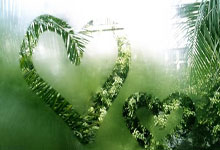 中國女足2-1客勝韓國 張馨王霜先後建功.